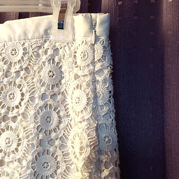 Gap Lace Skirt - Picture 2 of 7